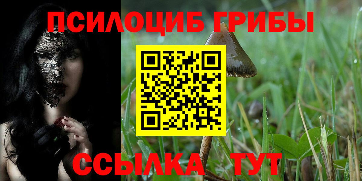 Галлюциногенные грибы MAGIC MUSHROOMS Новодвинск